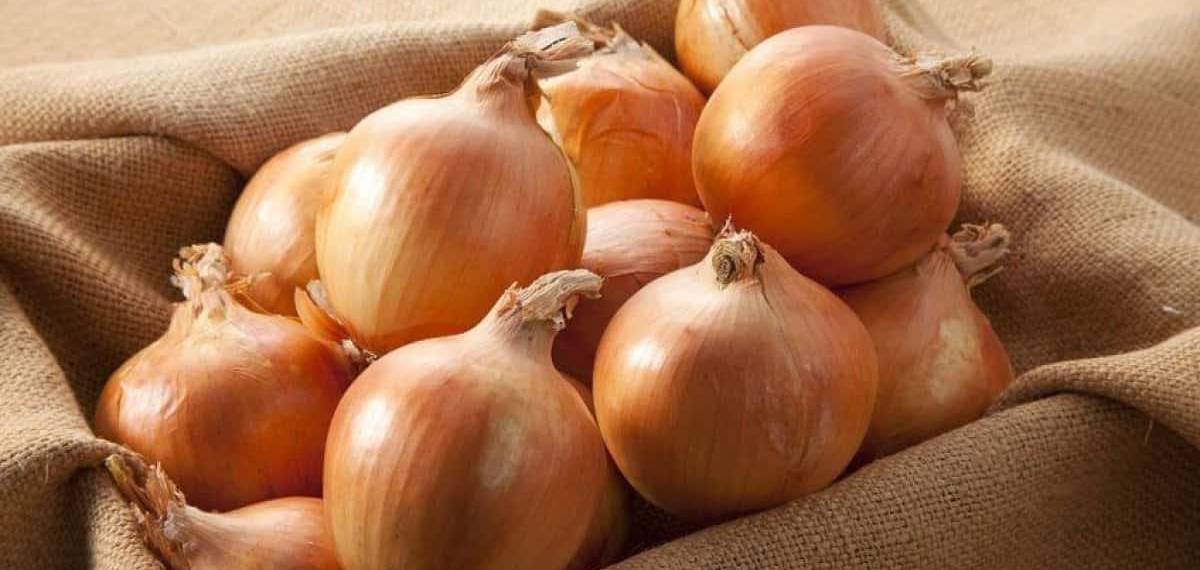 onion