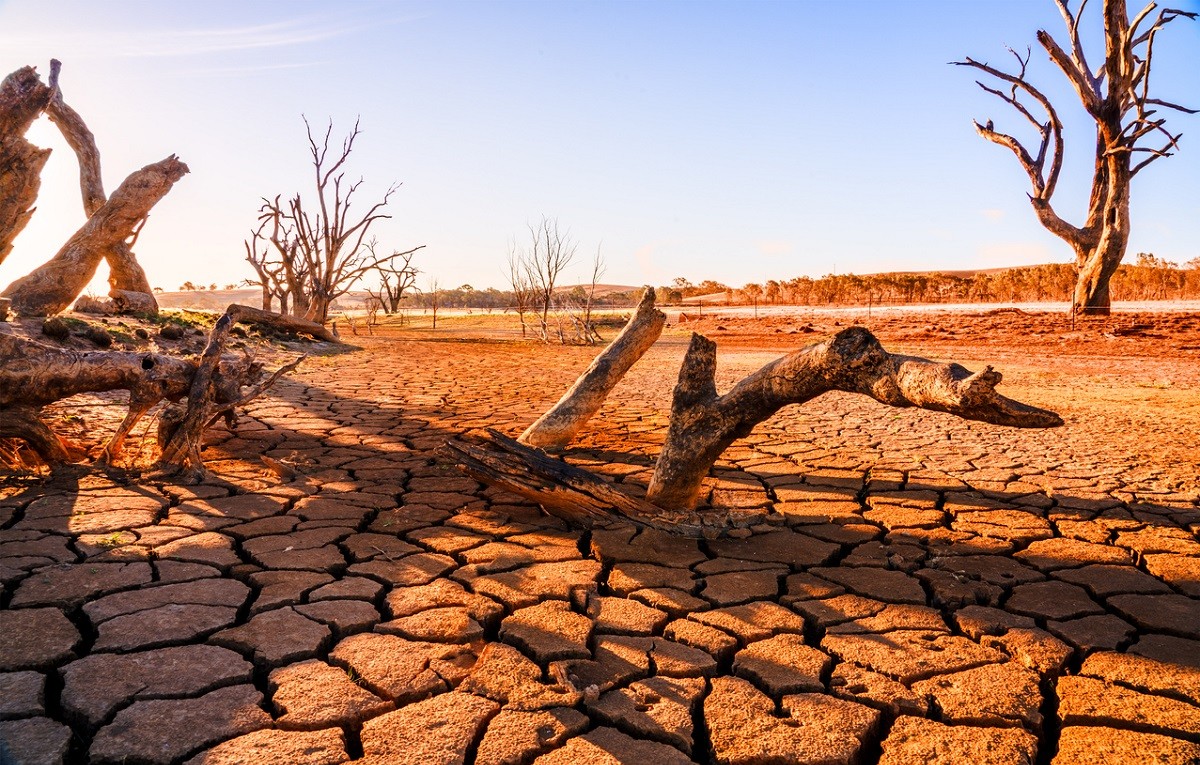 Drought due to global warming