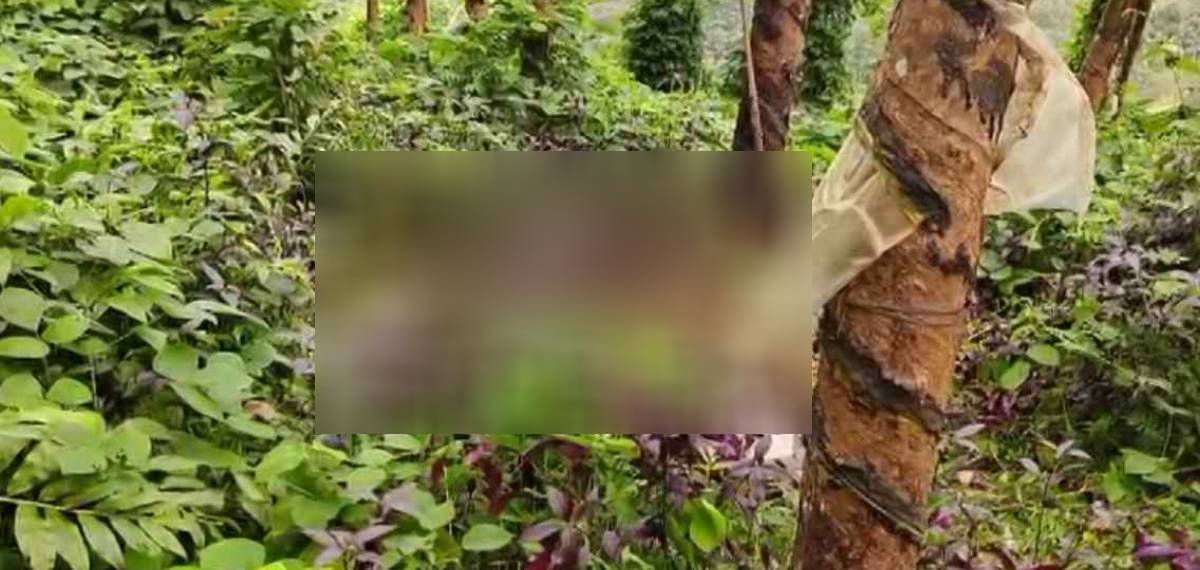 പുനലൂരില്‍ ചങ്ങലയില്‍ ബന്ധിച്ച നിലയില്‍ മൃതദേഹം കണ്ടെത്തിയ സംഭവം: പ്രത്യേക അന്വേഷണ സംഘം രൂപീകരിക്കുന്നു