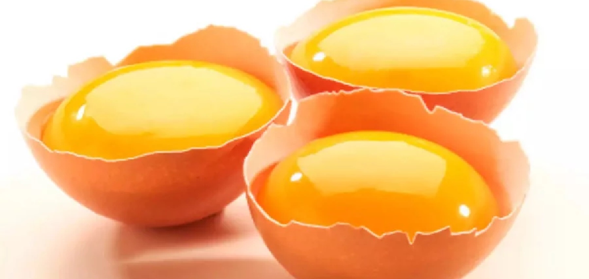 മുട്ട വെജിറ്റേറിയനോ? അതോ നോണ്‍വെജിറ്റേറിയനോ?