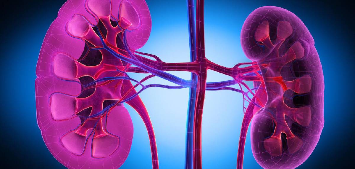 kidney failure