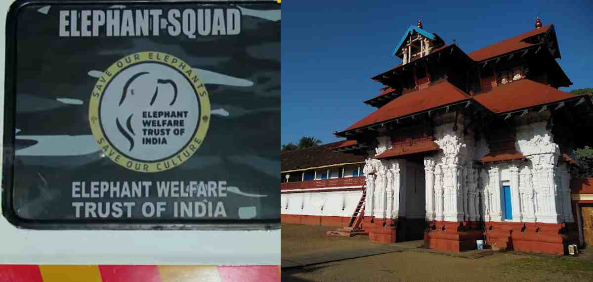 തൃപ്പൂണിത്തുറ ക്ഷേത്രത്തില്‍ ആന ഇടഞ്ഞു; ഒരാള്‍ക്ക് പരിക്ക്