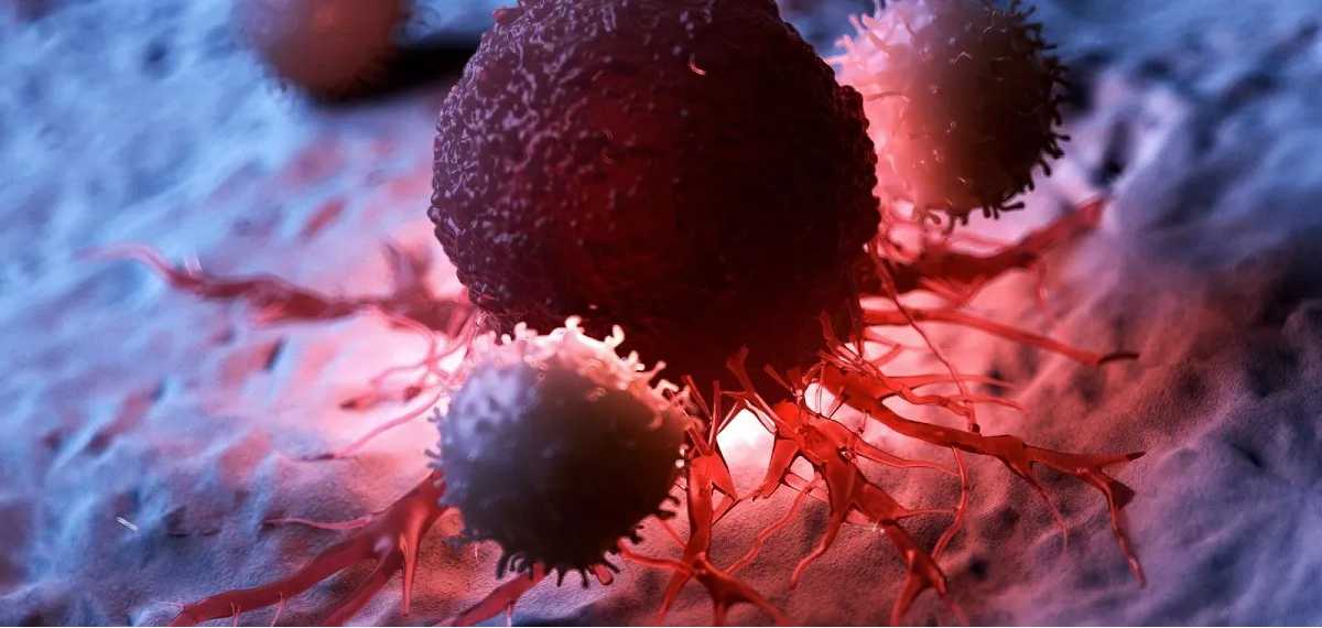 organs  most likely to develop cancer