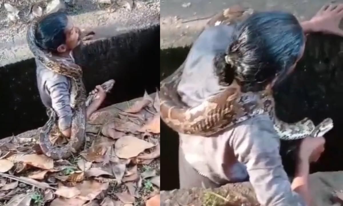 മദ്യലഹരിയില് പെരുമ്പാമ്പിനെ കയ്യിലെടുത്ത് അഭ്യാസ പ്രകടനം; ഭയന്ന് നാട്ടുകാര്, വീഡിയോ
