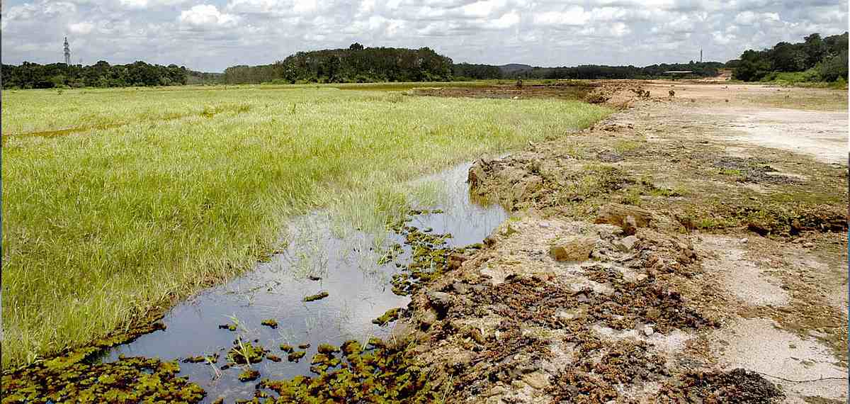 റവന്യു-കൃഷി വകുപ്പുകൾ എതിർത്തു; ആറന്മുളയിലെ ഇലക്ട്രോണിക് ക്ലസ്റ്റർ പദ്ധതി ഉപേക്ഷിച്ചു
