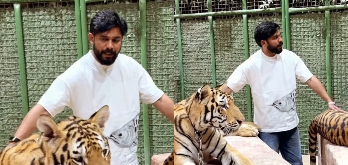 'എടാ ചെറുക്കാ ഇനി ചാടി പോവരുത്, എപ്പോഴും വന്ന് പിടിച്ച് തരാൻ പറ്റില്ല', കടുവകളോട് കുശലം പറഞ്ഞ് ഷറഫുദ്ദീൻ