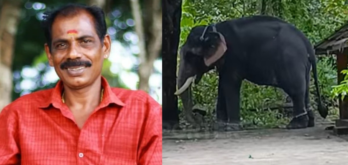 ഹരിപ്പാട് മദപ്പാടിലായിരുന്ന ആനയുടെ കുത്തേറ്റ പാപ്പാൻ മരിച്ചു