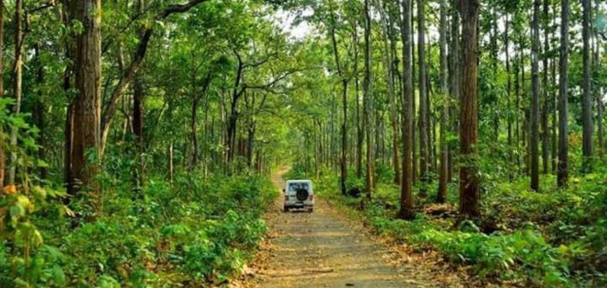 ജാർഖണ്ഡിൽ മാവോയിസ്റ്റുകൾ സ്ഥാപിച്ച ഐഇഡി പൊട്ടിത്തെറിച്ചു: വനമേഖലയിൽ വിറക് ശേഖരിക്കാൻ പോയ യുവതി കൊല്ലപ്പെട്ടു
