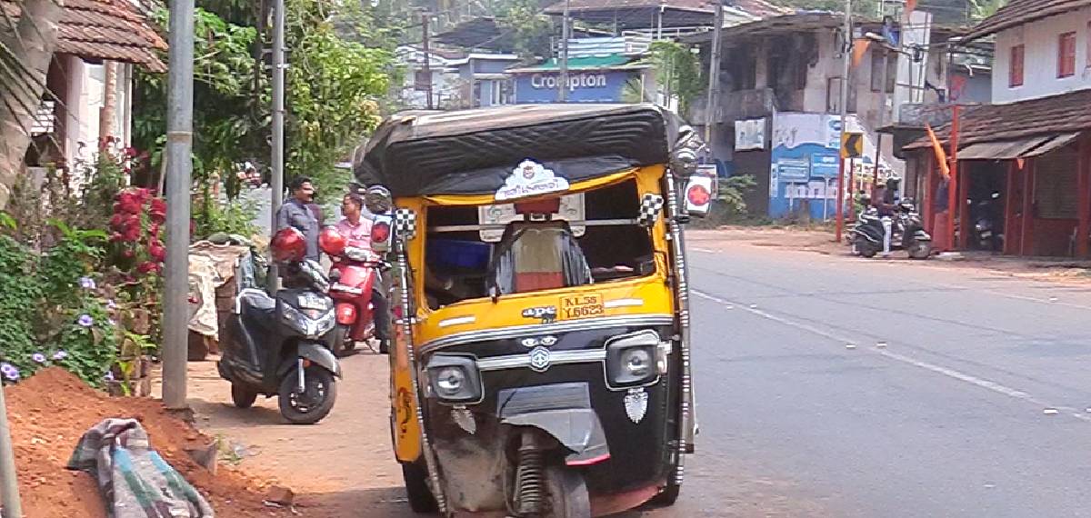 കണ്ണൂരിൽ കാട്ടുപന്നി കുറുകെ ചാടി ഓട്ടോറിക്ഷ മറിഞ്ഞു; യാത്രക്കാരന് ദാരുണാന്ത്യം