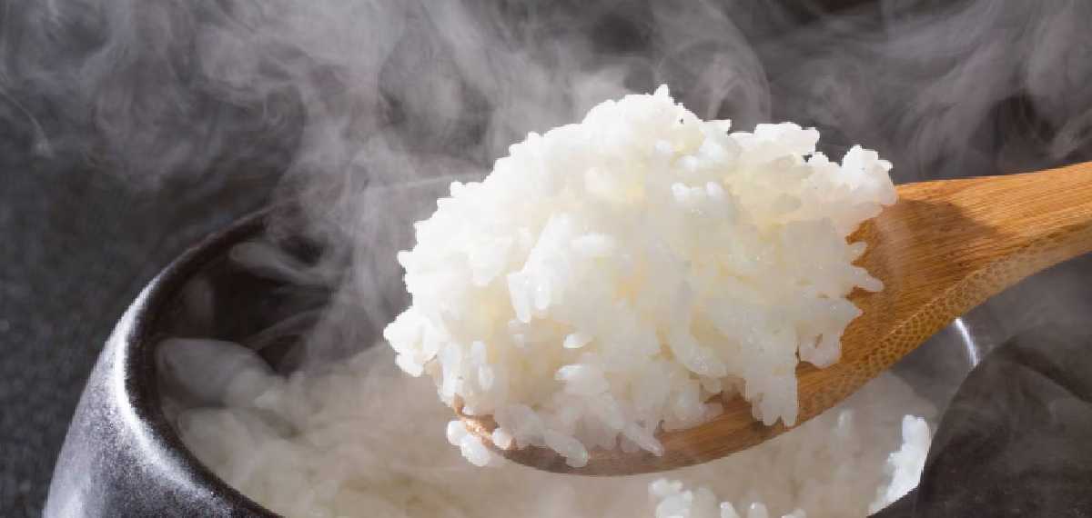 ചോറും വിഷമാകുമോ? ചൈനീസ് നെൽപ്പാടങ്ങളിൽ നടത്തിയ പഠനം ഞെട്ടിക്കും