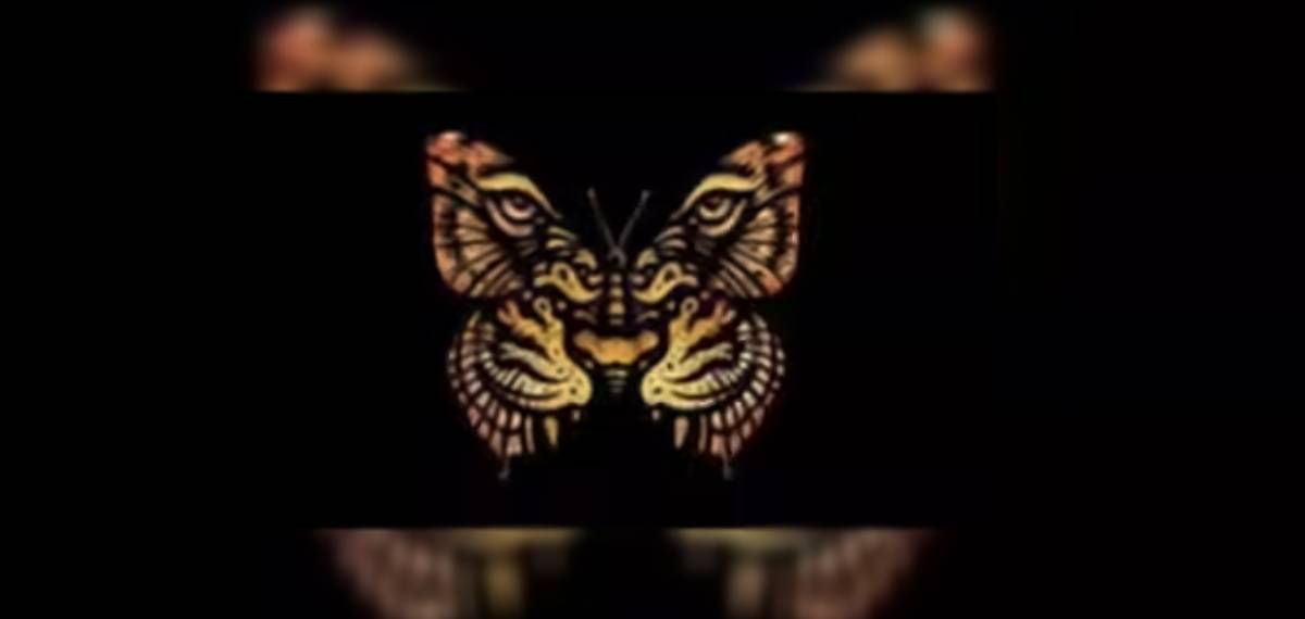 കടുവയെയാണോ ചിത്രശലഭത്തെയാണോ കാണുന്നത്? ചിത്രം അതിവിചിത്രം!