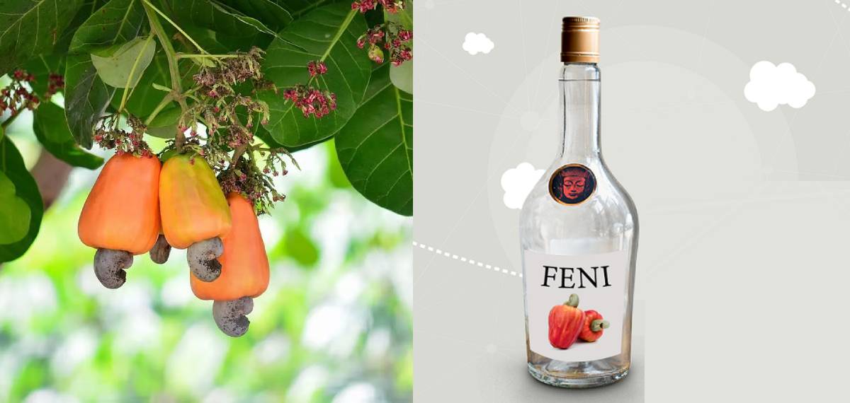 വരുന്നു കെ - ഫെനിയും, ഉടൻ വിപണിയിലേക്ക്; നിർമാണം ഗോവൻ ഫെനിക്ക് സമാനമായി കശുമാങ്ങയിൽനിന്ന്