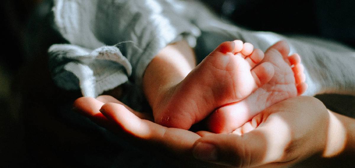 തിരുവനന്തപുരം അമ്മത്തൊട്ടിലിൽ 5 ദിവസം പ്രായമുള്ള അതിഥിയെത്തി; ഈ വർഷം ലഭിക്കുന്ന നാലാമത്തെ കുഞ്ഞായി 'വസന്ത്'