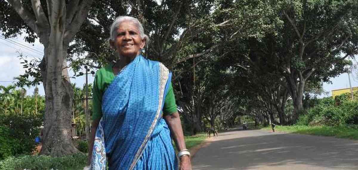 ‘Saalumarada’ Thimmakka