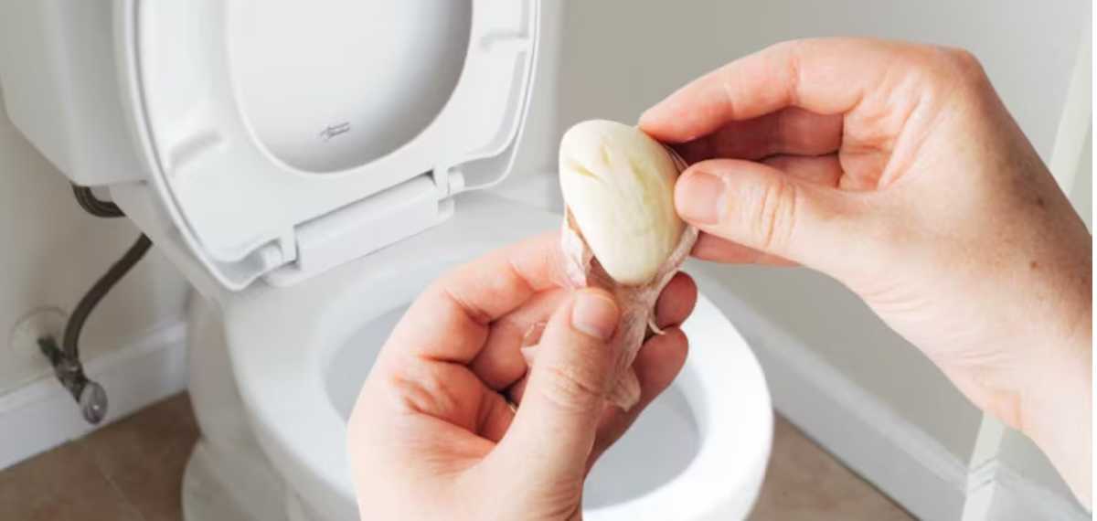 ടോയ്‌ലറ്റില്‍ വെളുത്തുളളി അല്ലി ഇട്ടാല്‍ എന്ത് സംഭവിക്കും; അറിയണോ?