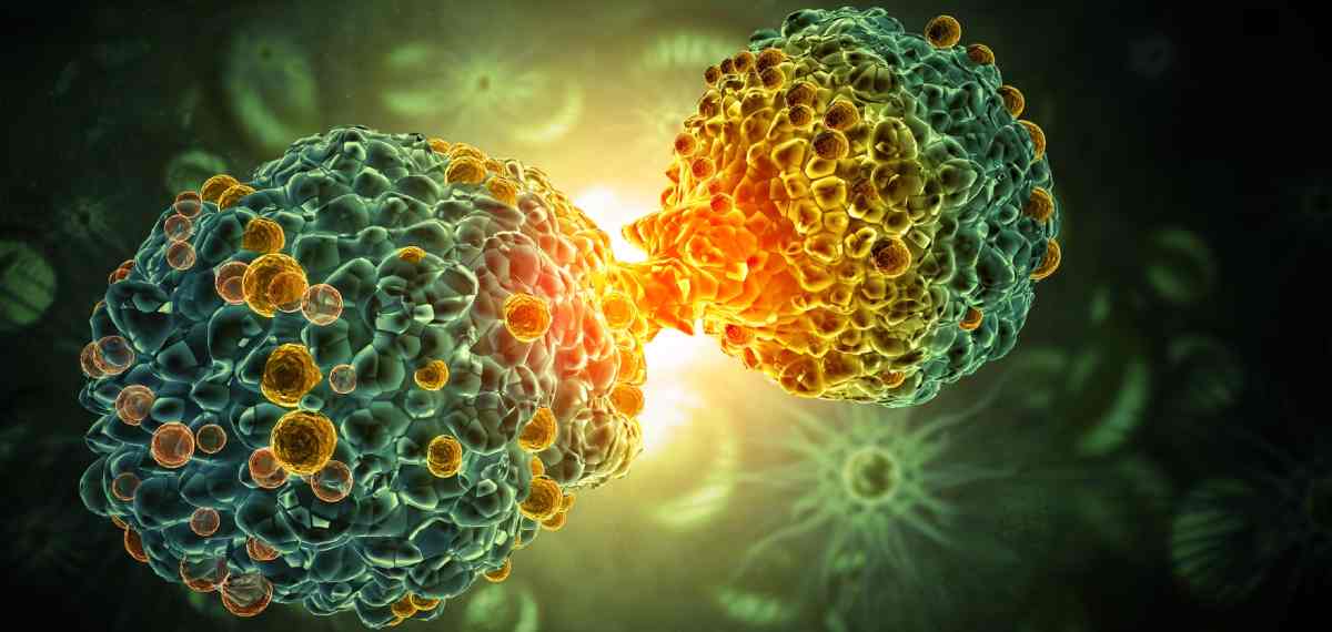 Abnormal Cancer Cells