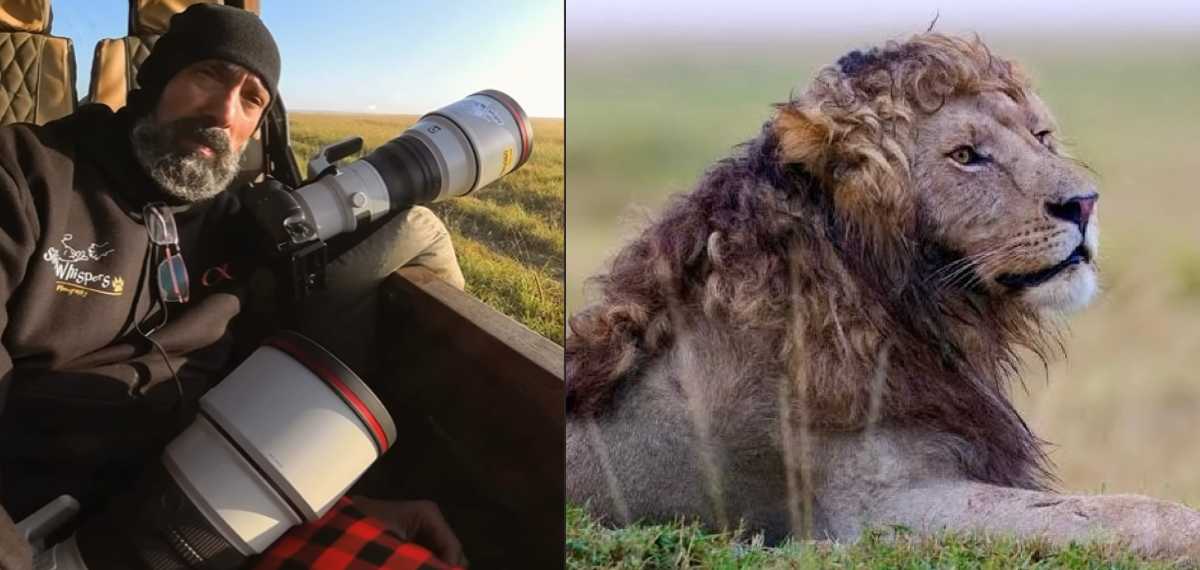 നമ്മുടെ ഹൃദയം കവർന്ന ഈ അതിസുന്ദരൻ സിംഹം എവിടെ നിന്നാണെന്ന് അറിയാമോ; അനുഭവം പങ്കുവെച്ച് ഫോട്ടോഗ്രാഫർ