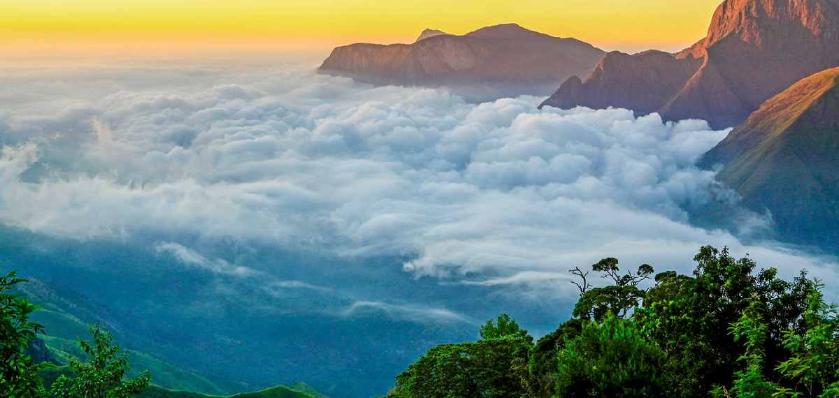 സൗത്ത് ഇന്ത്യയുടെ കശ്മീര്; മൂന്നാറില് കണ്ടിരിക്കേണ്ട ആറ് സ്ഥലങ്ങള്