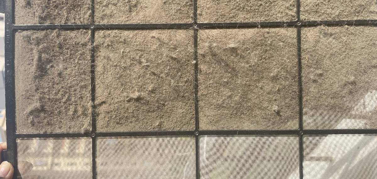 '200 കോടി രൂപയുടെ അപ്പാര്ട്ട്മെൻ്റുള്ള നഗരത്തിലെ എയർപ്യൂരിഫയർ കാണൂ'; ആശങ്കയായി യുവതിയുടെ പോസ്റ്റ്