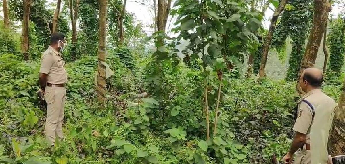 കൊല്ലത്ത് കൈകാലുകള്‍ ചങ്ങലയില്‍ ബന്ധിച്ച നിലയില്‍ മൃതദേഹം കണ്ടെത്തി