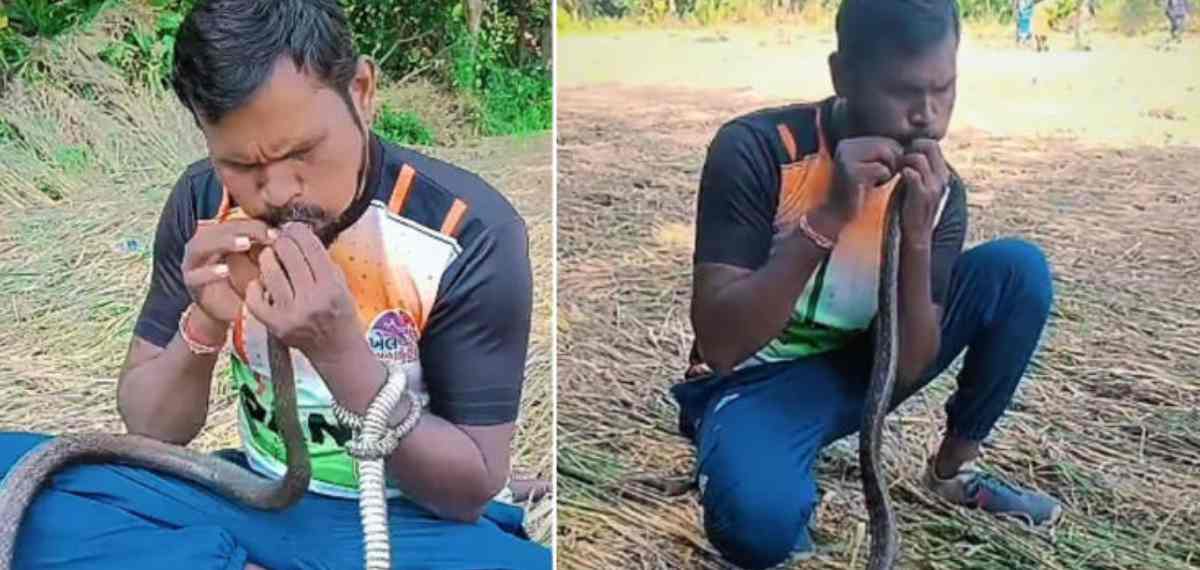 ഷോക്കേറ്റ് ശ്വാസംനിലച്ച പാമ്പിന് CPR നല്‍കി യുവാവ്! ഗുജറാത്തില്‍ നിന്നുള്ള വീഡിയോ വൈറല്‍