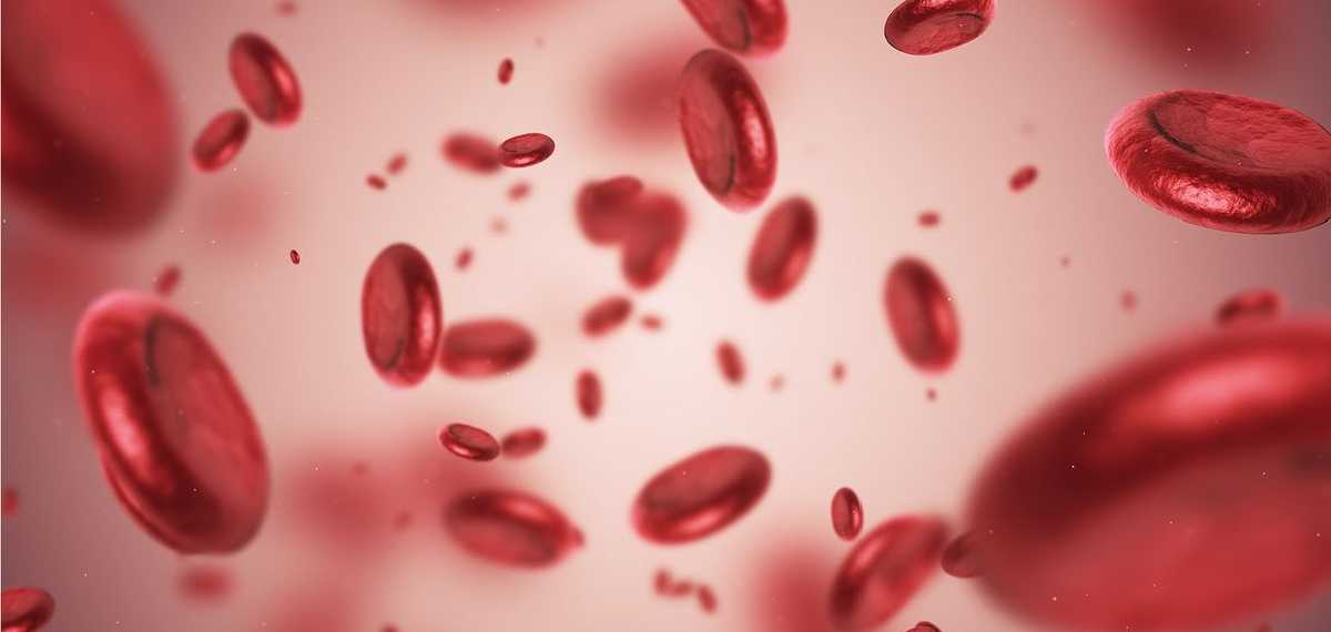 Why is human blood red