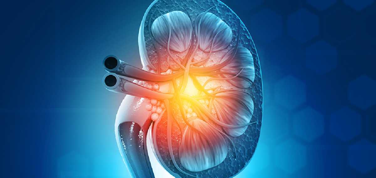 blood pressure and kidney cancer