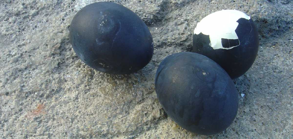black eggs in chaina