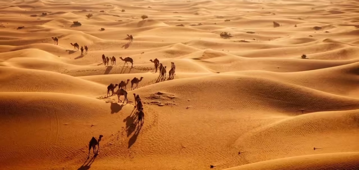 അവസാനമില്ലാത്ത മരുഭൂമിയുണ്ട്, എന്നിട്ടും യുഎഇ, സൗദി രാജ്യങ്ങൾ മണൽ ഇറക്കുമതി ചെയ്യുന്നു; കാരണമിതാണ്