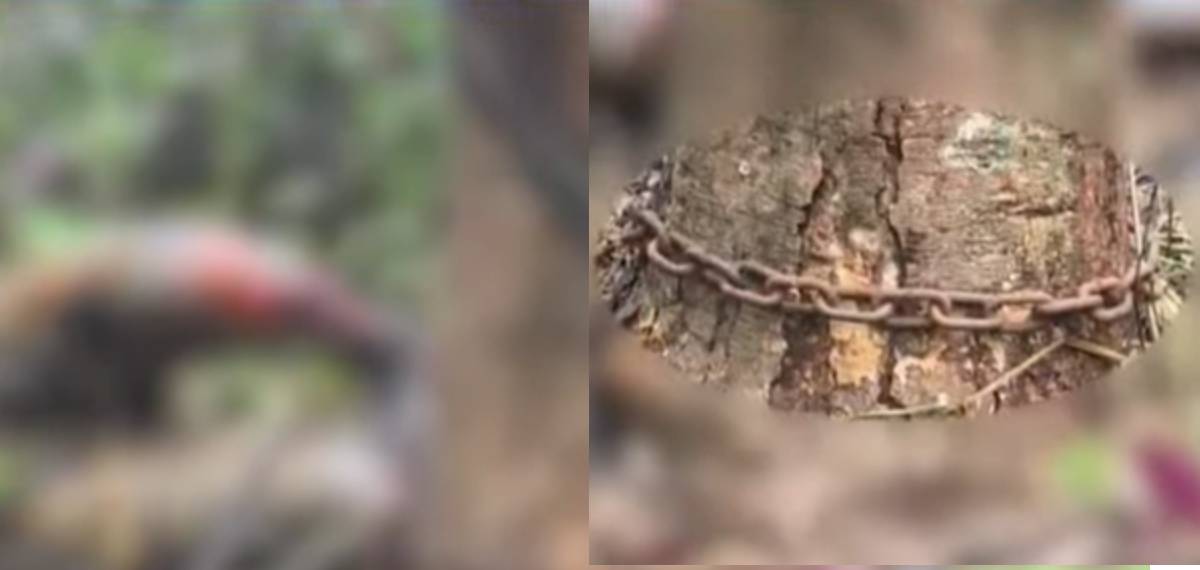 'പുനലൂരിൽ കൊല്ലപ്പെട്ടത് ഇടതുകാലിന് സ്വാധീനമില്ലാത്ത പുരുഷൻ, മൃതദേഹം പെട്രോള്‍ ഒഴിച്ചു കത്തിച്ചെന്ന് സംശയം'