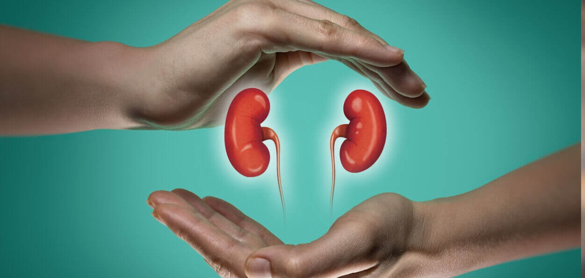 വൃക്ക മാറ്റിവച്ച വ്യക്തി ദീർഘകാലം ജീവിക്കുമോ? ശസ്ത്രക്രിയ പരാജയപ്പെട്ടാൽ