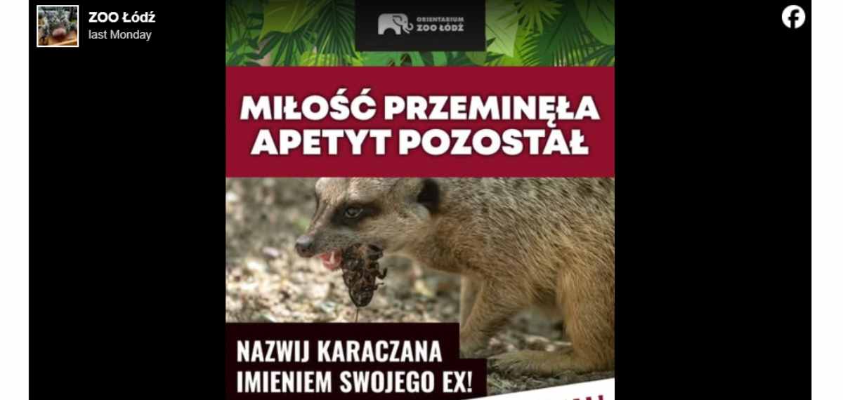 Valentine's Day campaign