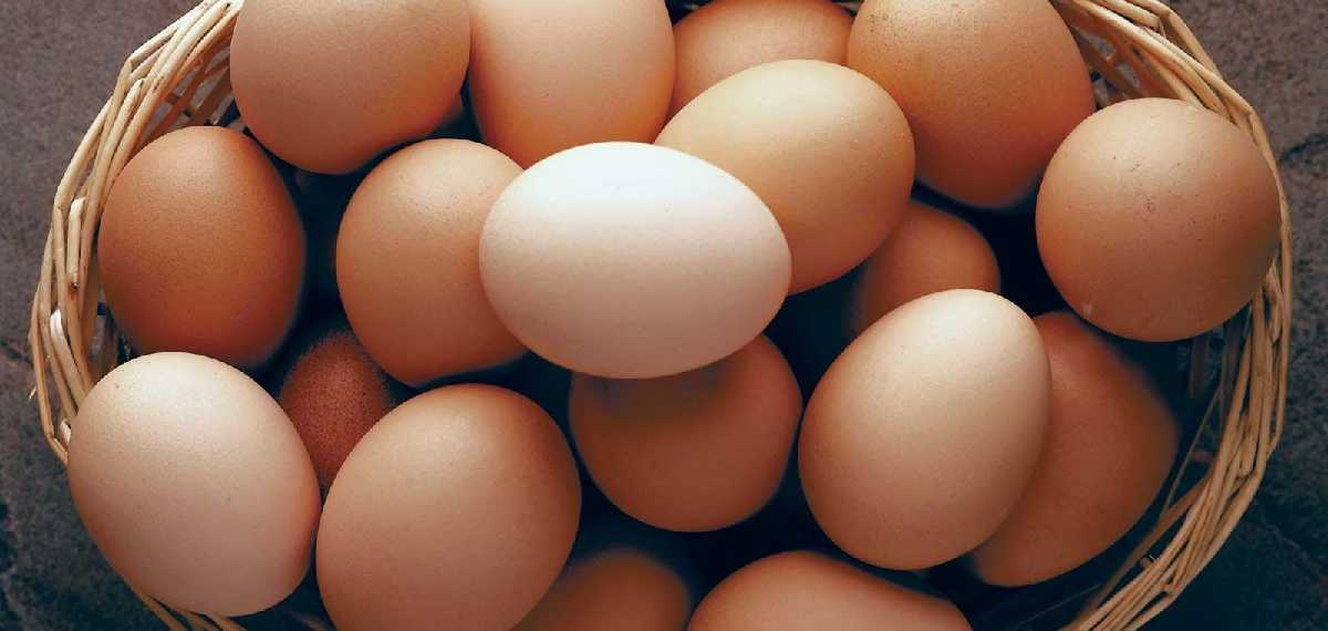 ഗുണത്തില് കേമന് താറാവ് മുട്ട തന്നെ എന്തുകൊണ്ടാണെന്ന് അറിയാമോ?