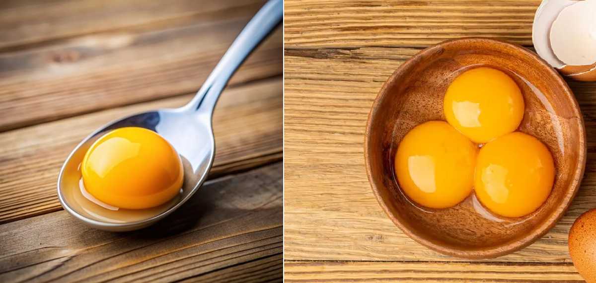 മുട്ട കഴിക്കുന്നവരുടെ ശ്രദ്ധയ്ക്ക് ; മഞ്ഞക്കരു കൊളസ്‌ട്രോള്‍ വര്‍ധിപ്പിക്കുമോ? എന്താണ് സത്യം;  അറിയാം