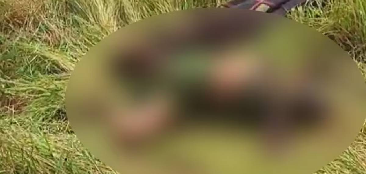 മഹാരാഷ്ട്രയില്‍ ഉറങ്ങിക്കിടന്ന വൃദ്ധ ദമ്പതികളെ പുലി കൊന്നുതിന്നു