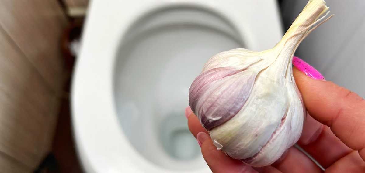 garlic in toilet