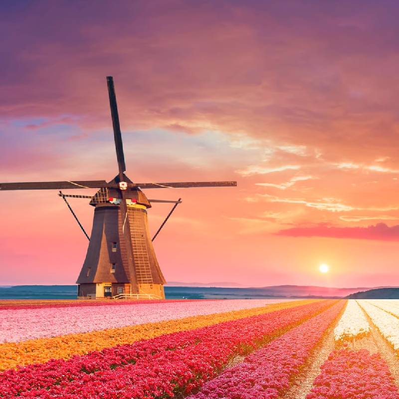 netherlands