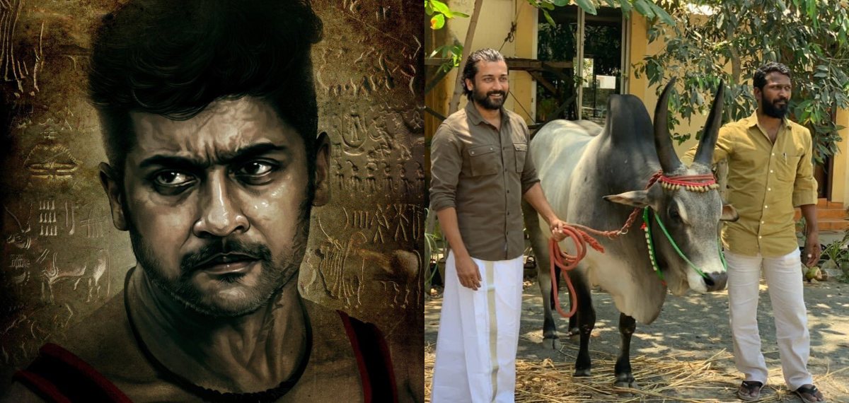 വാടിവാസൽ ഉപേക്ഷിച്ചിട്ടില്ലെന്ന് നിർമാതാവ്;'കാള വയസ്സായി മരിച്ചാലും ആ സിനിമ തുടങ്ങില്ല' എന്ന് ട്രോളുകൾ