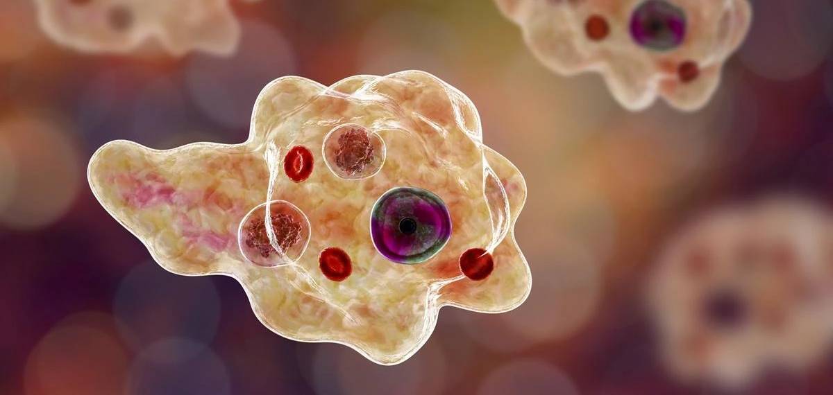 സംസ്ഥാനത്ത് വീണ്ടും അമീബിക് മസ്തിഷ്ക ജ്വരം ബാധിച്ച് മരണം