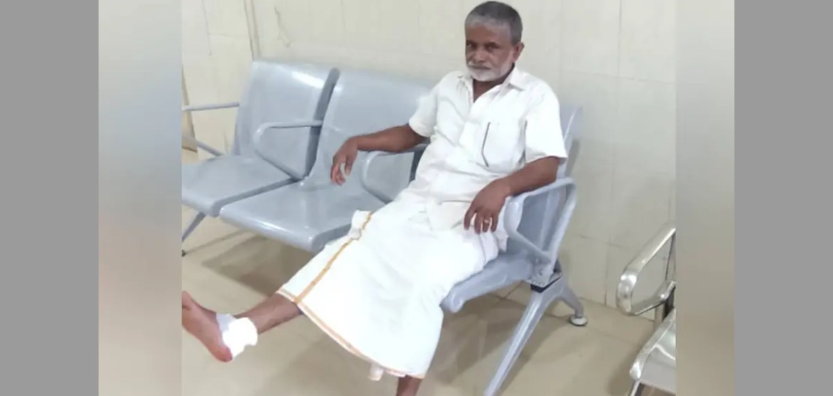 നാമനിര്‍ദേശപത്രികയുടെ സൂക്ഷ്മപരിശോധനയ്ക്ക് പോകവെ സ്ഥാനാര്‍ത്ഥിക്ക് തെരുവുനായയുടെ കടിയേറ്റു