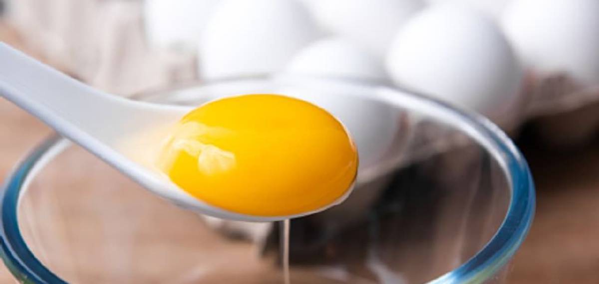 who should avoid eating egg yolks
