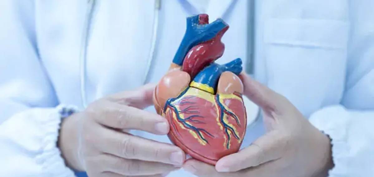 heart disease young people