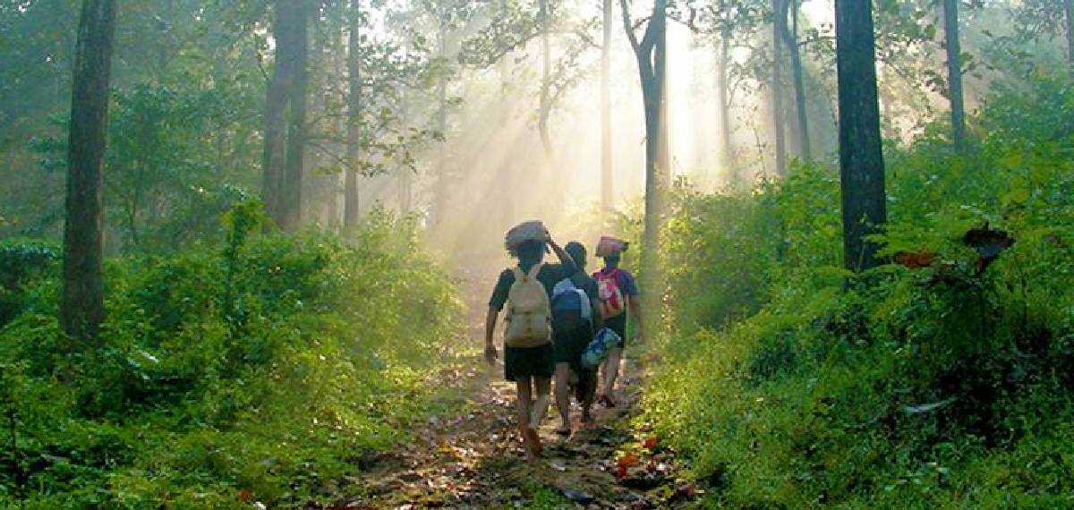 ശബരിമല കാനന പാത നേരത്തെ തുറന്ന് തരണമെന്ന് ഭക്തന്റെ ആവശ്യം; തളളി ഹൈക്കോടതി