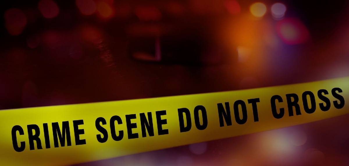 പാലക്കാട്‌ ജ്യേഷ്ഠൻ അനുജനെ തല്ലിക്കൊന്നു