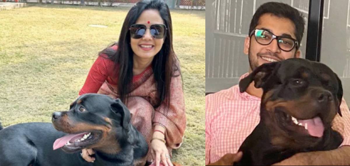 'മുന്‍ പങ്കാളിയില്‍ നിന്ന് വളര്‍ത്തുനായയെ തിരികെ വേണം': ഹൈക്കോടതിയെ സമീപിച്ച് ടിഎംസി എംപി മഹുവ മൊയ്ത്ര