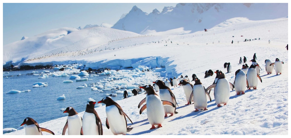 100 വർഷം നീണ്ടുനിൽക്കുന്ന 'താപ സ്ഫോടനം' അന്റാർട്ടിക്കയിലെ ദക്ഷിണ സമുദ്രത്തിൽ ഉണ്ടാകുമെന്ന് മുന്നറിയിപ്പ്