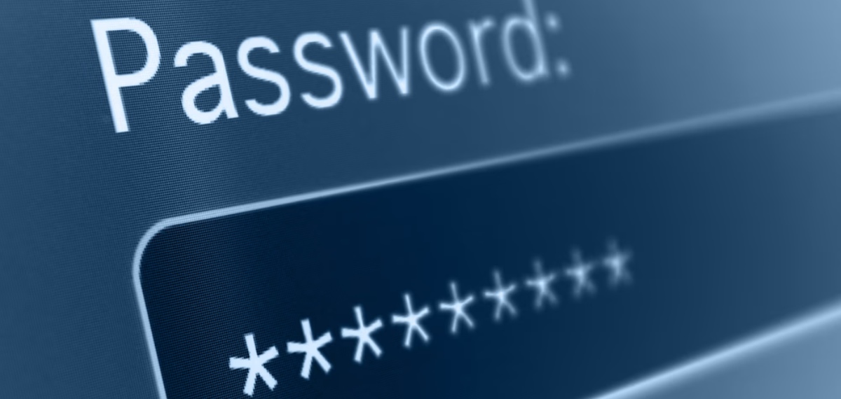 Password and Security Measures
