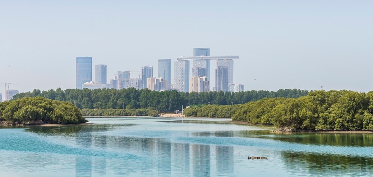 അബുദബി സുസ്ഥിരതാ വാരം 2026ന് തുടക്കമായി