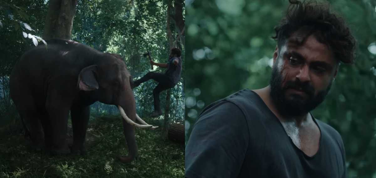 ആനകൾ VFX അല്ല, ഡിസ്‌ക്ലെയ്മർ മുതൽ ഞെട്ടിച്ച് കാട്ടാളൻ ടീസർ;കണ്ണുതള്ളുന്ന ആക്ഷൻ രംഗങ്ങളുമായി പെപ്പെയും കൂട്ടരും