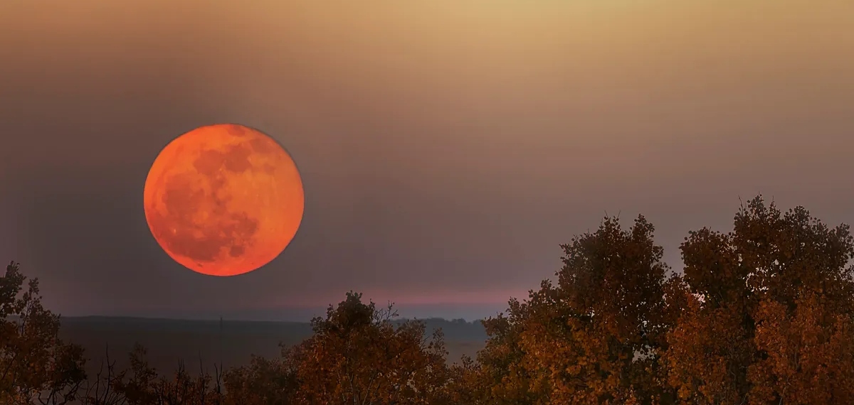 Moon from Earth